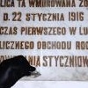 Tablica upamiętniająca Powstanie Styczniowe dofinansowano ze środków Ministra Kultury i Dziedzictwa Narodowego - 2022 r. _13